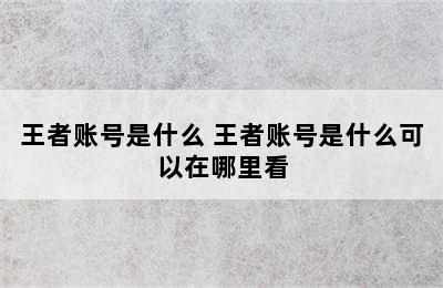 王者账号是什么 王者账号是什么可以在哪里看